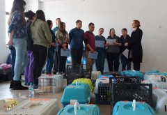Primăria Municipiului Ploiești a premiat toți voluntarii implicați în campania de sterilizare câini și pisici