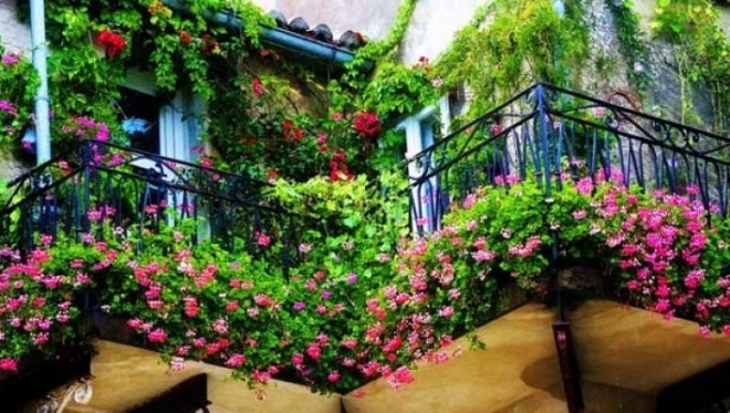 Cum să îţi transformi balconul într-o adevărată grădină GALERIE FOTO