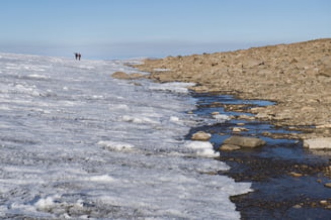 Gheata se retrage rapid din zona arctica si iese la iveala un peisaj nevazut de 120.000 de ani. Au inceput sa creasca si plante!