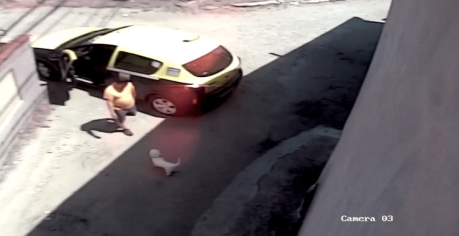 Taximetrist din Ploiesti, surprins in timp ce fura cainele unei familii din cartierul Dorobantu