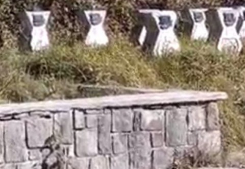 Strigăt de durere la Cimitirul Eroilor din Sinaia! Paragina totala/ VIDEO