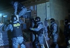 Percheziții la prima oră în județul Prahova: Rețea de hoți de lemn, săltată de polițiști