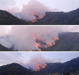 Incendiu Thassos, Skala Potamia 2022/ Focul nu a fost stins. Pompierii se lupta de 12 ore cu flacarile