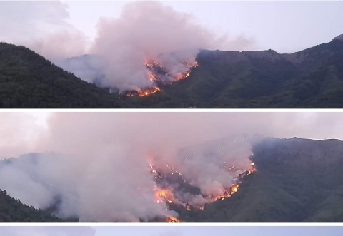 Incendiu Thassos, Skala Potamia 2022/ Focul nu a fost stins. Pompierii se lupta de 12 ore cu flacarile