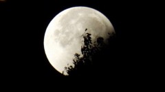 Fenomen astronomic deosebit: Lună plină de Crăciun, prima dată după 38 de ani