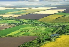 70% din suprafaţa arabilă a României ar putea ajunge pe mâinile străinilor