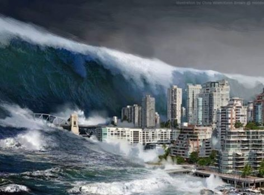 Imagini pentru tsunami imagini