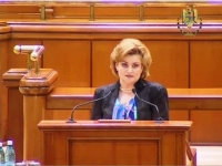 Gavrilescu, despre conducerea PNL: Oportunisti care au aruncat partidul in bratele PDL