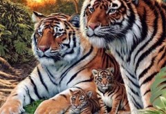 La prima vedere ai impresia ca vezi 4 tigri. Ce se intampla daca privesti cu atentie imaginea