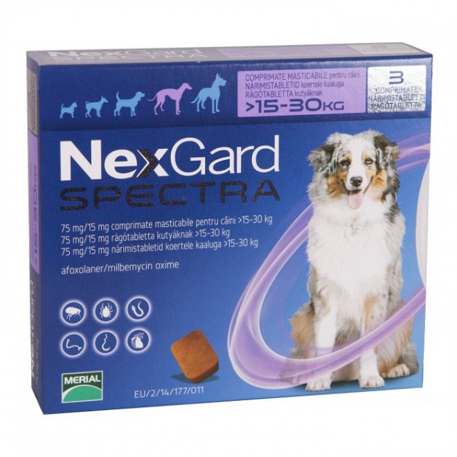 Nexgard Spectra, un medicament veterinar ce actioneaza eficient impotriva parazitilor