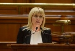 Deputaţii au votat PENTRU încuviinţarea începerii urmăririi penale a Elenei Udrea în dosarul Gala Bute