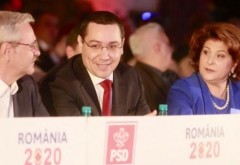 Rovana Pulmb, replică DURĂ pentru Dragnea: Să nu facem jocurile adversarilor