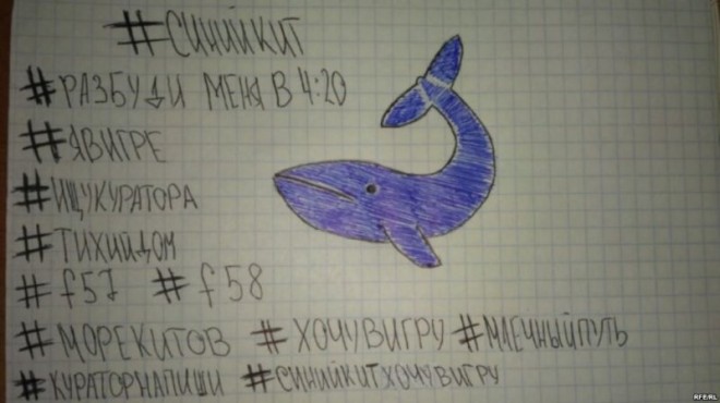 Prima victimă din România a jocului &quot;Balena albastră&quot;. Mesajul care a îngrozit o tânără de 19 ani din Codlea