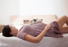 De ce nu trebuie să stea femeile însărcinate lângă pisici! Avertismentul șocant al medicilor!