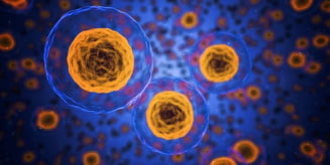 Experiment revolutionar: Celule canceroase, transformate in grasime. Nici nu s-au mai inmultit
