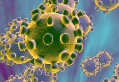 Experții europeni (ECDC): care sunt simptomele coronavirusului. Cum să eviți îmbolnăvirea. Căi de tratament