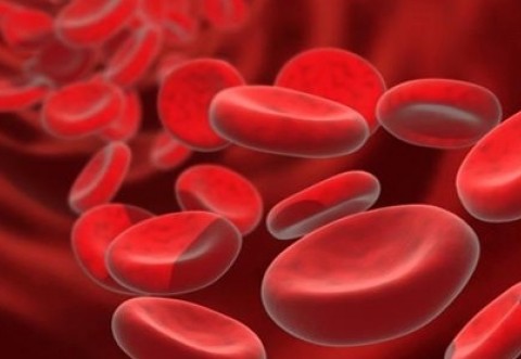 Dr. Radu Craciun: Cum interpretam corect hemograma - Anemiile