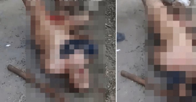 Bărbat castrat de un pitbull. O bandă de cinci „justiţiari”din Mexic a răzbunat astfel violarea unei femei