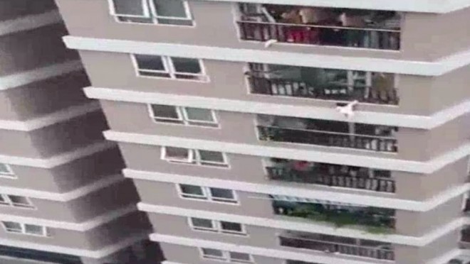 Un copil de doi ani care a căzut de la etajul 12 al unui bloc a fost salvat în mod miraculos de un trecător