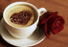 Cea mai scumpa ceasca de cafea se vinde in New York. Cat costa doza de licoare adusa din Panama
