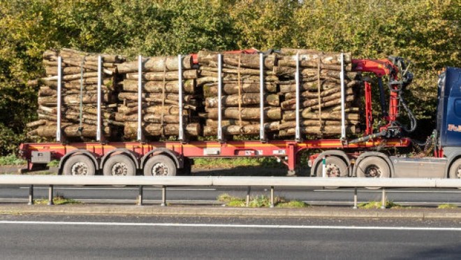Pedepse mai mari în noul Cod Silvic. TIR-urile sau camioanele cu care sunt transportaţi arborii tăiaţi ilegal vor putea fi confiscate