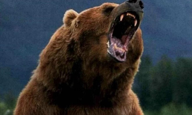 Avertismentul Greenpeace România: Tanczos Barna pregătește legalizarea vanatorii la trofeu, profitand de contextul actual