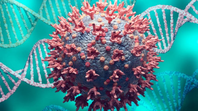 Studiu: Tulpina Omicron infectează oamenii mai ușor folosind material genetic de la om și de la virusul răcelii