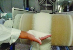 Fabricile românești de zahăr, cumpărate și închise de patronii străini. Importam de 300 milioane de euro