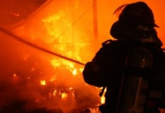 Incendiu devastator în Arad: 7000 de păsări au ars, după ce focul s-a extins de la o casă la crescătoria de pui