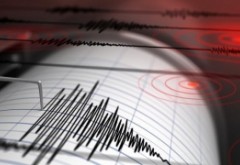 Un nou cutremur a avut loc în Vrancea, în noaptea de miercuri spre joi