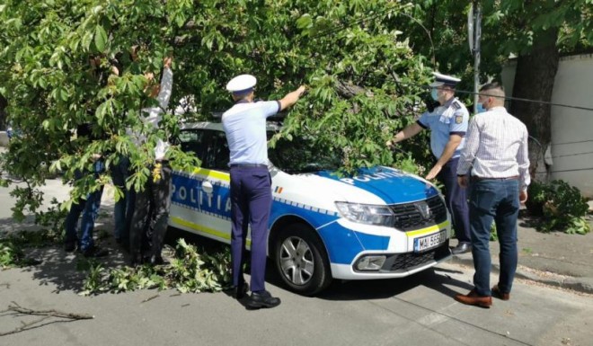 Ploiesti/ Un copac a cazut peste o masina a Politiei